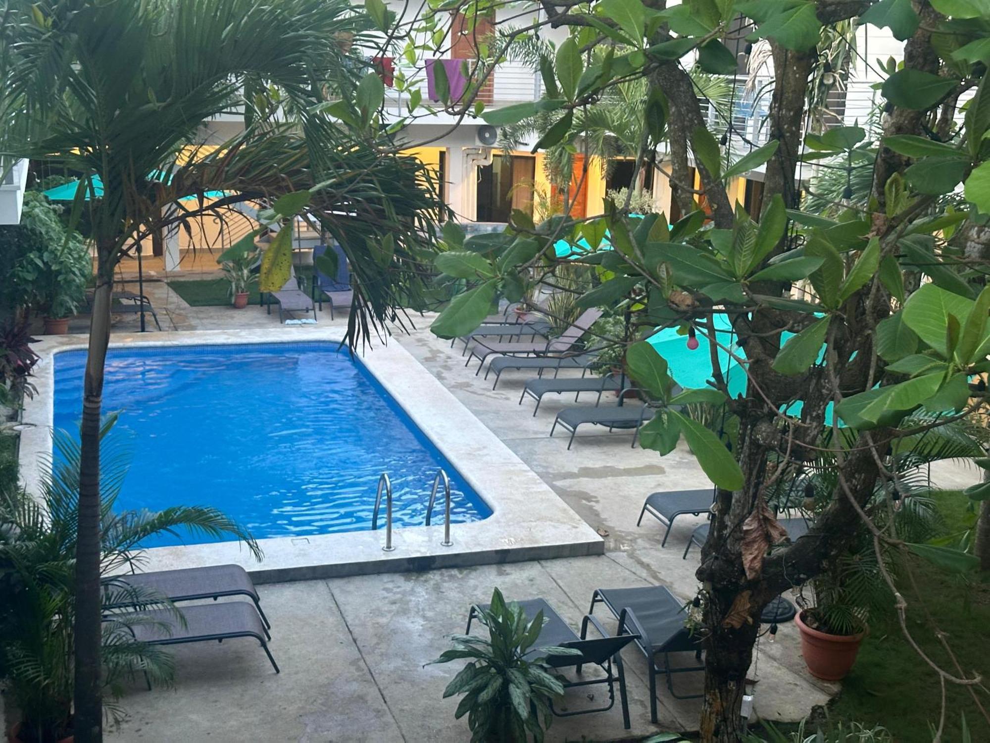 Private Fully Furnished Home At Wide Mouth Frog Hostel Quepos Kültér fotó